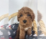 Image preview for Ad Listing. Nickname: Gage