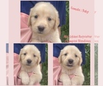 Image preview for Ad Listing. Nickname: Baby