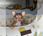 Image preview for Ad Listing. Nickname: Honey