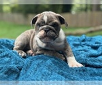 Image preview for Ad Listing. Nickname: Bentley