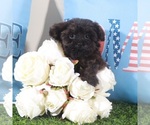 Image preview for Ad Listing. Nickname: Angel