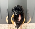 Image preview for Ad Listing. Nickname: Barley