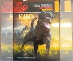Small Photo #1 Rottweiler Puppy For Sale in JAX, FL, USA