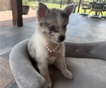 Image preview for Ad Listing. Nickname: Bella
