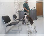 Small Pointer