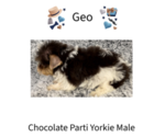 Image preview for Ad Listing. Nickname: Geo