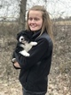 Small Photo #9 Bordoodle Puppy For Sale in CRESTON, OH, USA