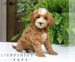 Image preview for Ad Listing. Nickname: Jalena