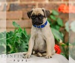 Image preview for Ad Listing. Nickname: Snoopy