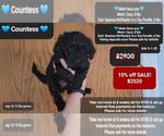 Image preview for Ad Listing. Nickname: Countess