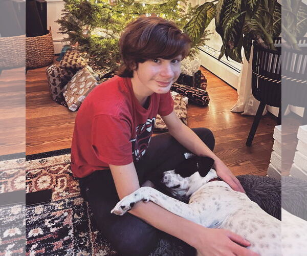 Medium Photo #4 Pointer-Unknown Mix Puppy For Sale in Woodbury, NY, USA