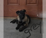 Image preview for Ad Listing. Nickname: Mini me