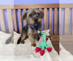 Small #2 Mutt