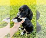 Image preview for Ad Listing. Nickname: Luka