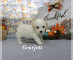 Image preview for Ad Listing. Nickname: Georjett