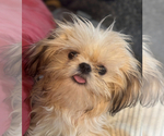 Image preview for Ad Listing. Nickname: Butters Babies