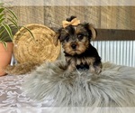 Image preview for Ad Listing. Nickname: Tiana