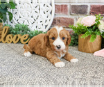 Image preview for Ad Listing. Nickname: Strawberry