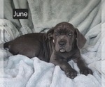 Image preview for Ad Listing. Nickname: June