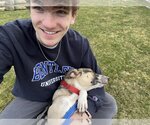 Small #7 Mutt