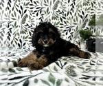 Image preview for Ad Listing. Nickname: Chloe