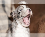 Image preview for Ad Listing. Nickname: Slate