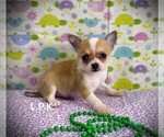 Image preview for Ad Listing. Nickname: Tcup Layla