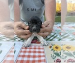  - Photo #2