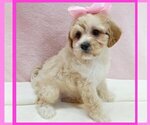 Image preview for Ad Listing. Nickname: Lucy