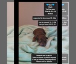Image preview for Ad Listing. Nickname: Stan