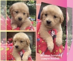 Image preview for Ad Listing. Nickname: Betty