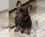 Image preview for Ad Listing. Nickname: Reese