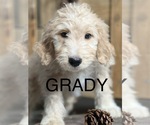 Image preview for Ad Listing. Nickname: Grady