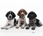Small Pointer