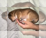Image preview for Ad Listing. Nickname: Princess