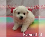 Image preview for Ad Listing. Nickname: Everest