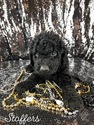 Small Photo #3 Goldendoodle Puppy For Sale in ANDERSON, CA, USA