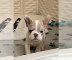 Image preview for Ad Listing. Nickname: Pixel