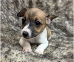 Image preview for Ad Listing. Nickname: Little Princess