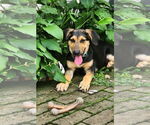 Small #3 Breeder Profile image