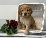 Image preview for Ad Listing. Nickname: Mya