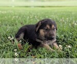 Image preview for Ad Listing. Nickname: River