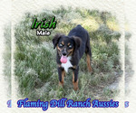 Image preview for Ad Listing. Nickname: Irish