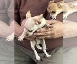 Image preview for Ad Listing. Nickname: Buzz Buzz