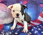 Image preview for Ad Listing. Nickname: Gordo