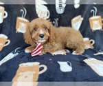 Image preview for Ad Listing. Nickname: Bentley