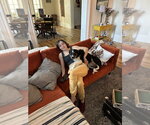Small #2 Border Collie Mix