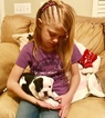 Small Photo #2 Bulldog Puppy For Sale in PEACHLAND, NC, USA