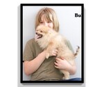 Small Photo #15 Pomeranian Puppy For Sale in CLARE, MI, USA