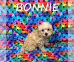 Image preview for Ad Listing. Nickname: Bonnie